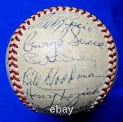 1956 Boston Red Sox Team Signed Baseball Ted Williams 25 Autographs