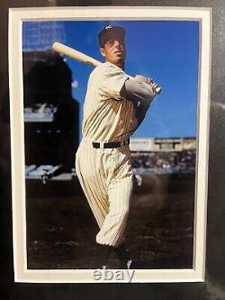 Autographed Joe DiMaggio And Ted Williams Photo Large 16x25 Frame With COA