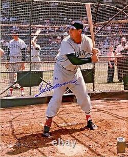 Boston Red Sox Ted Williams Signed 16x20 Photo PSA DNA LOA Letter