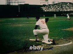 Boston Red Sox Ted Williams signed photo. 8x10 inches