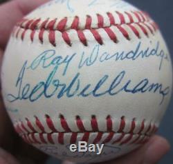 Hall of Fame Multi Signed Baseball 16x signed Baseball Ted Williams Beckett BAS