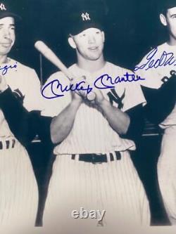 JOE DiMAGGIO MICKEY MANTLE TED WILLIAMS 8x10 SIGNED PHOTO With STAR COA