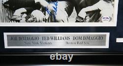 Joe DiMaggio Ted Williams Dom DiMaggio Autographed 8x10 Photo Framed PSA/DNA