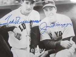 Joe dimaggio & ted williams autograph 8 x 10 photo psa/dna New York Yankees