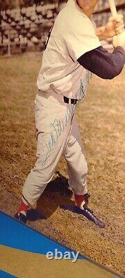 MLB Baseball Mickey Mantle Ted Williams Joe DiMaggio Autographed Photos