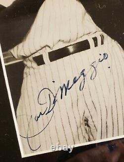 Mickey Mantle / Joe DiMaggio / Ted Williams JSA certified autographed 8 X
