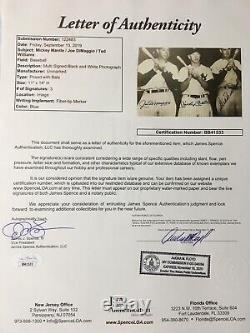 Mickey Mantle/ Joe DiMaggio/ Ted Williams Signed 11x14 Photo Framed JSA LOA