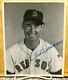 Superb Ted Williams Autographed 8x10 Photo-great Bust Shot Taken In 1951-red Sox