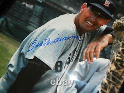Smiling (very rare!) Ted Williams Signed 23x 19 Framed PSA & Green Diamond
