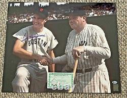 TED WILLIAMS SIGNED 20X24 PHOTO WithBABE RUTH BECKETT CERTIFIED BOSTON RED SOXS