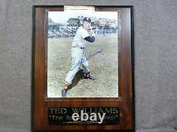 TED WILLIAMS Signed 8 by 10 Photograph