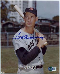 TED WILLIAMS Signed 8x10 MLB Licensed Photo Beckett Bold Blue Ink Signature BAS