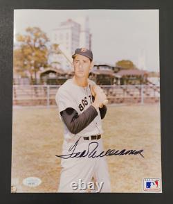 TED WILLIAMS Signed 8x10 Photo-HALL OF FAME-BOSTON RED SOX-JSA Letter