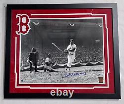 TED WILLIAMS Signed Framed 16x20 Photo Beckett & Green Diamond Authen 2 Auto 10