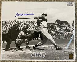 Ted Williams 16x20 autographed photo
