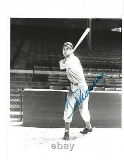 Ted Williams Autographed Baseball 8x10 Brace Photo PSA Letter Boston Red Sox