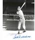 Ted Williams Autographed Baseball 8x10 Geo Brace Photo Psa Letter Boston Red Sox
