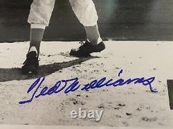 Ted Williams Signed 16x20 Photo Rookie Image Rare Green Diamond COA Red Sox 1939