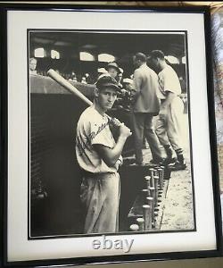 Ted Williams Signed Autographed Limited 371/500 25x21 Matted & Framed