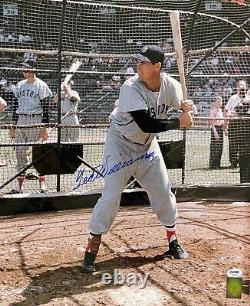 Ted Williams Signed Batting Cage 16x20 Psa Dna K28123 (d) Red Sox Green Diamond