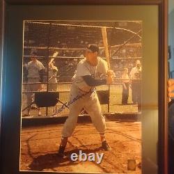 Ted Williams Signed Custom Framed 26 x 22 Photo Display (Williams)