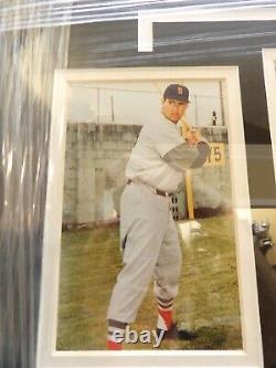 Ted Williams and Stan Musial Autographed Poster COA GFA 22x19(40373-Wall-KM)