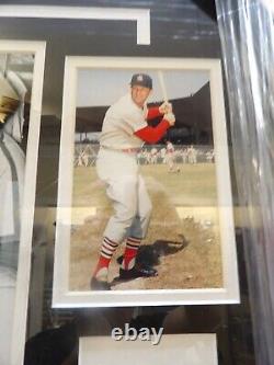 Ted Williams and Stan Musial Autographed Poster COA GFA 22x19(40373-Wall-KM)